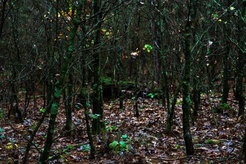 Tiny photo for 40+/- Acres Edgewood Drive, Adams, WI 53910 (MLS # 2010902)