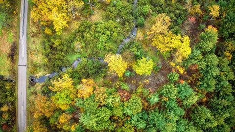 Tiny photo for 40+/- Acres Edgewood Drive, Adams, WI 53910 (MLS # 2010902)