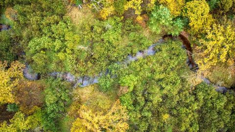 Tiny photo for 40+/- Acres Edgewood Drive, Adams, WI 53910 (MLS # 2010902)