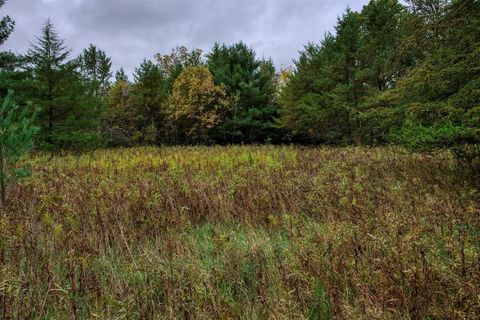 Tiny photo for 40+/- Acres Edgewood Drive, Adams, WI 53910 (MLS # 2010902)
