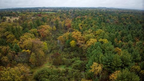 Tiny photo for 40+/- Acres Edgewood Drive, Adams, WI 53910 (MLS # 2010902)