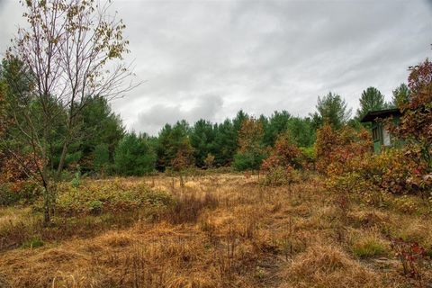 Tiny photo for 40+/- Acres Edgewood Drive, Adams, WI 53910 (MLS # 2010902)
