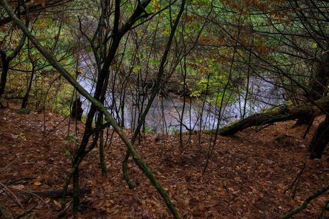 Tiny photo for 40+/- Acres Edgewood Drive, Adams, WI 53910 (MLS # 2010902)