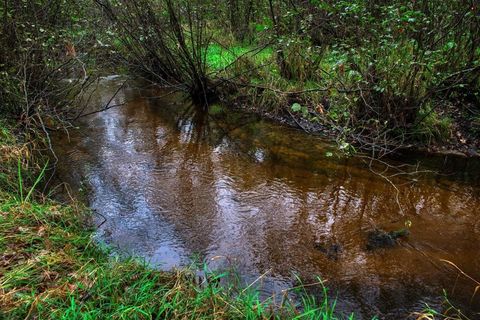 Tiny photo for 40+/- Acres Edgewood Drive, Adams, WI 53910 (MLS # 2010902)