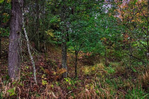 Tiny photo for 40+/- Acres Edgewood Drive, Adams, WI 53910 (MLS # 2010902)