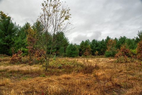 Tiny photo for 40+/- Acres Edgewood Drive, Adams, WI 53910 (MLS # 2010902)