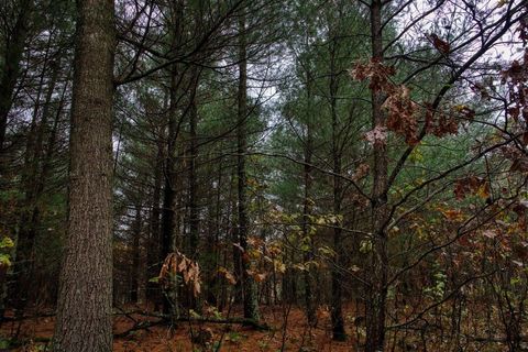 Tiny photo for 40+/- Acres Edgewood Drive, Adams, WI 53910 (MLS # 2010902)