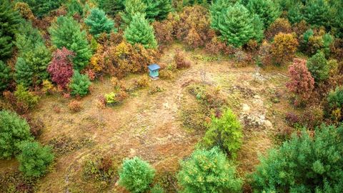 Tiny photo for 40+/- Acres Edgewood Drive, Adams, WI 53910 (MLS # 2010902)