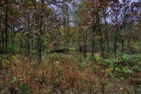 Tiny photo for 40+/- Acres Edgewood Drive, Adams, WI 53910 (MLS # 2010902)