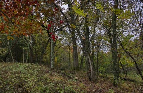 Tiny photo for 40+/- Acres Edgewood Drive, Adams, WI 53910 (MLS # 2010902)