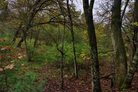 Tiny photo for 40+/- Acres Edgewood Drive, Adams, WI 53910 (MLS # 2010902)