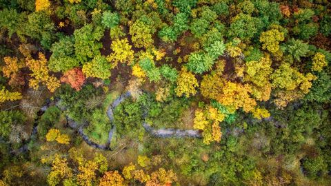 Tiny photo for 40+/- Acres Edgewood Drive, Adams, WI 53910 (MLS # 2010902)