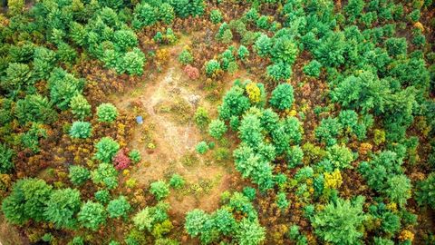 Tiny photo for 40+/- Acres Edgewood Drive, Adams, WI 53910 (MLS # 2010902)
