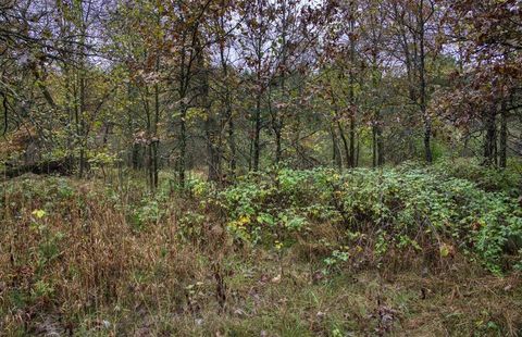 Tiny photo for 40+/- Acres Edgewood Drive, Adams, WI 53910 (MLS # 2010902)