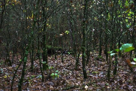 Tiny photo for 40+/- Acres Edgewood Drive, Adams, WI 53910 (MLS # 2010902)