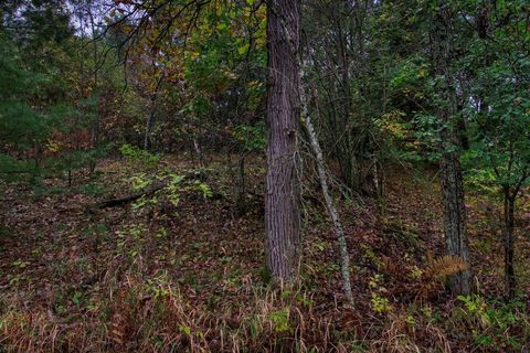 Tiny photo for 40+/- Acres Edgewood Drive, Adams, WI 53910 (MLS # 2010902)