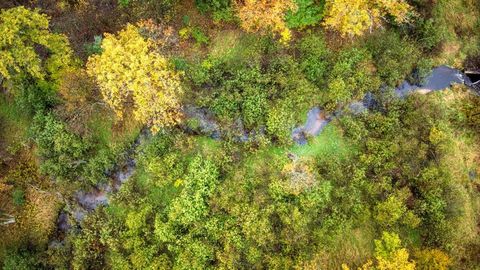 Tiny photo for 40+/- Acres Edgewood Drive, Adams, WI 53910 (MLS # 2010902)