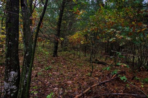 Tiny photo for 40+/- Acres Edgewood Drive, Adams, WI 53910 (MLS # 2010902)