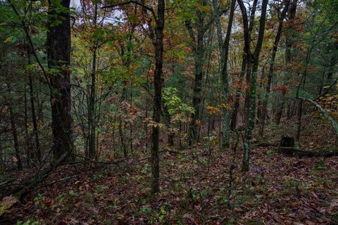 Tiny photo for 40+/- Acres Edgewood Drive, Adams, WI 53910 (MLS # 2010902)
