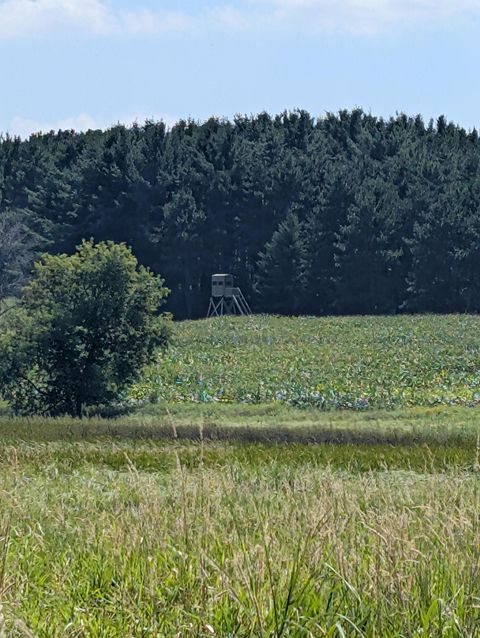 Tiny photo for W6191 Lueck Lane, Princeton, WI 54968 (MLS # 2005272)