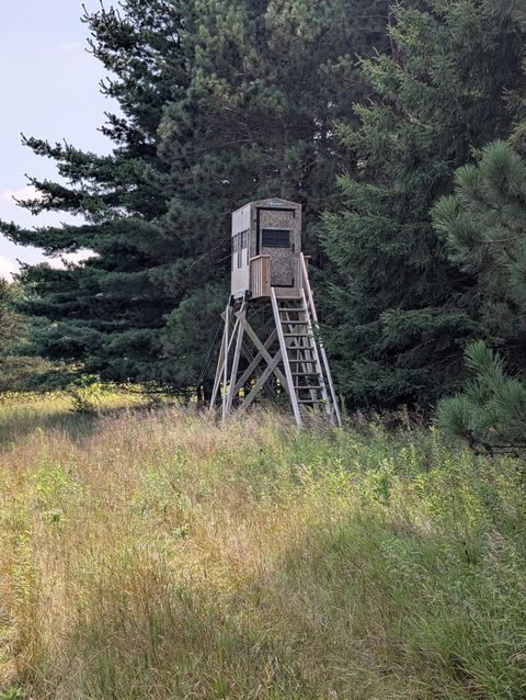 Tiny photo for W6191 Lueck Lane, Princeton, WI 54968 (MLS # 2005272)