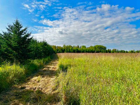 Tiny photo for N5449 County M Road, Brandon, WI 53919 (MLS # 2009043)