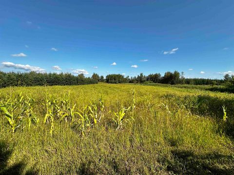 Tiny photo for N5449 County M Road, Brandon, WI 53919 (MLS # 2009043)