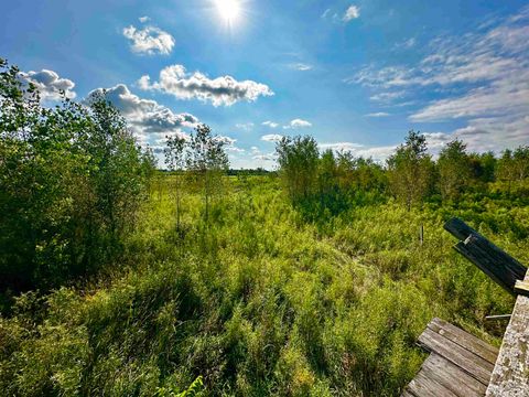 Tiny photo for N5449 County M Road, Brandon, WI 53919 (MLS # 2009043)