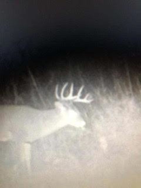 Tiny photo for N5449 County M Road, Brandon, WI 53919 (MLS # 2009043)