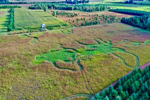 Tiny photo for N5449 County M Road, Brandon, WI 53919 (MLS # 2009043)