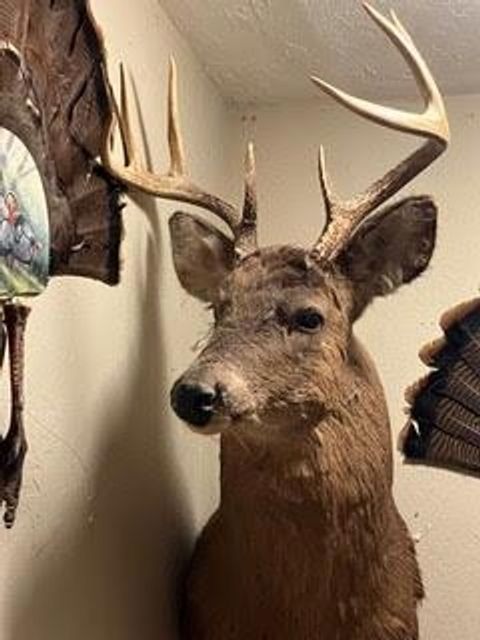 Tiny photo for N5449 County M Road, Brandon, WI 53919 (MLS # 2009043)