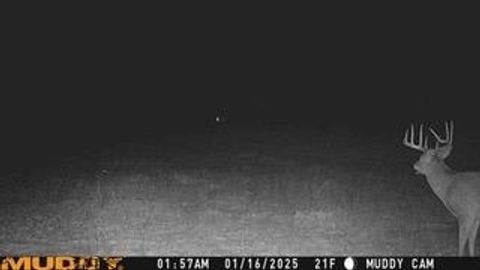 Tiny photo for N5449 County M Road, Brandon, WI 53919 (MLS # 2009043)