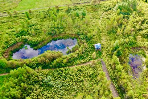 Tiny photo for N5449 County M Road, Brandon, WI 53919 (MLS # 2009043)