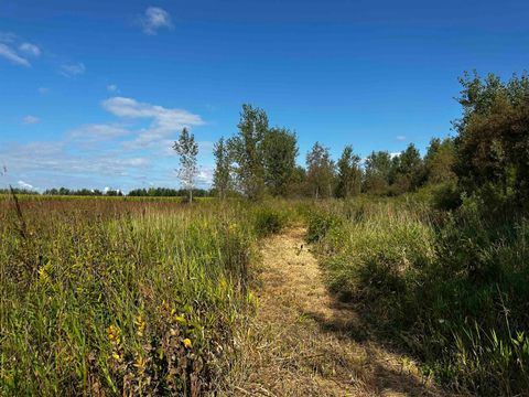 Tiny photo for N5449 County M Road, Brandon, WI 53919 (MLS # 2009043)