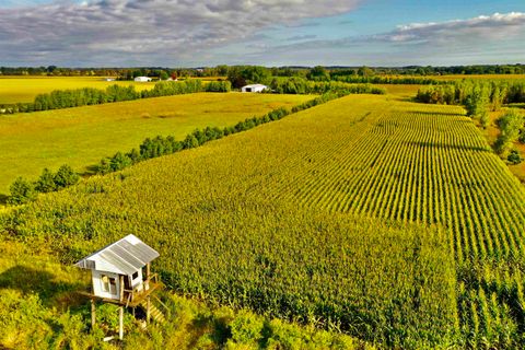 Tiny photo for N5449 County M Road, Brandon, WI 53919 (MLS # 2009043)