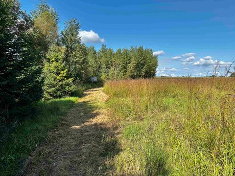 Tiny photo for N5449 County M Road, Brandon, WI 53919 (MLS # 2009043)