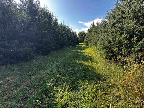 Tiny photo for N5449 County M Road, Brandon, WI 53919 (MLS # 2009043)