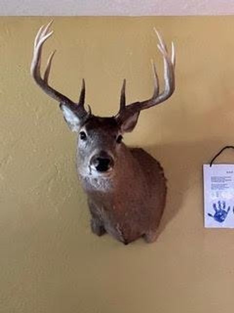 Tiny photo for N5449 County M Road, Brandon, WI 53919 (MLS # 2009043)