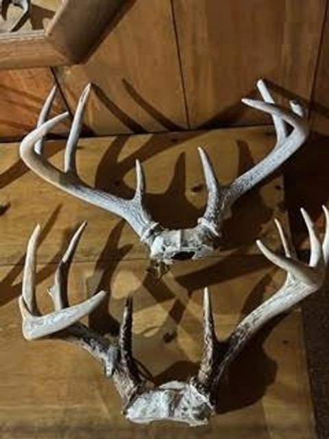 Tiny photo for N5449 County M Road, Brandon, WI 53919 (MLS # 2009043)