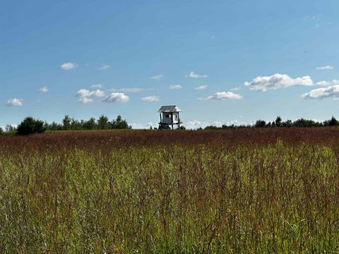 Tiny photo for N5449 County M Road, Brandon, WI 53919 (MLS # 2009043)