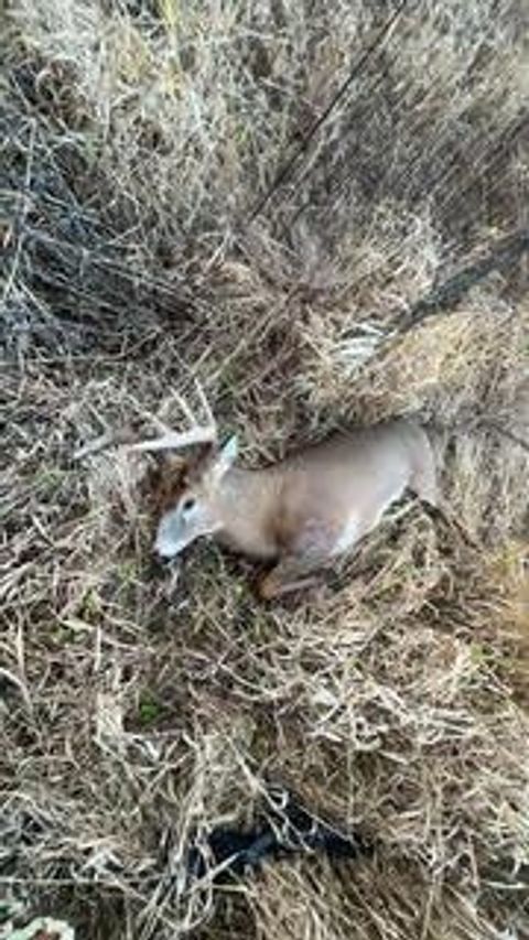 Tiny photo for N5449 County M Road, Brandon, WI 53919 (MLS # 2009043)