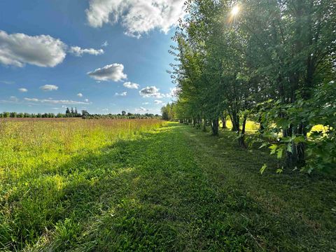 Tiny photo for N5449 County M Road, Brandon, WI 53919 (MLS # 2009043)