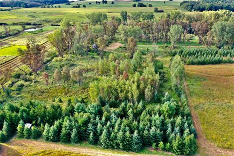 Tiny photo for N5449 County M Road, Brandon, WI 53919 (MLS # 2009043)