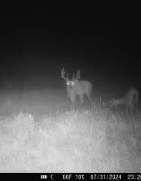 Tiny photo for N5449 County M Road, Brandon, WI 53919 (MLS # 2009043)