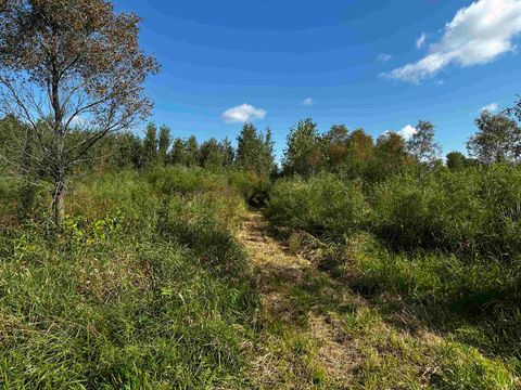 Tiny photo for N5449 County M Road, Brandon, WI 53919 (MLS # 2009043)