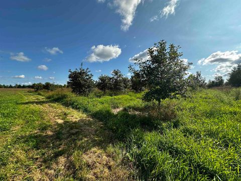 Tiny photo for N5449 County M Road, Brandon, WI 53919 (MLS # 2009043)