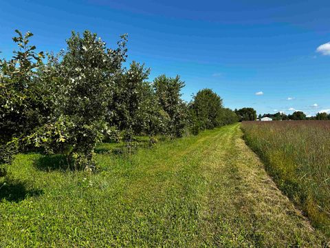 Tiny photo for N5449 County M Road, Brandon, WI 53919 (MLS # 2009043)