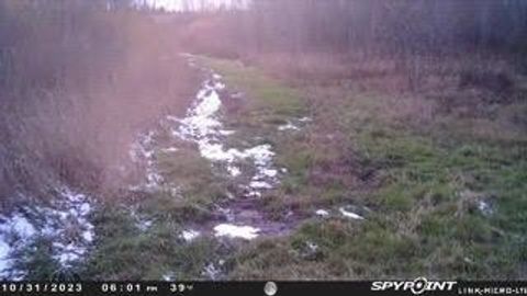 Tiny photo for N5449 County M Road, Brandon, WI 53919 (MLS # 2009043)