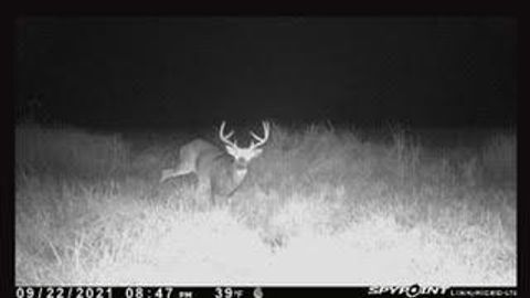 Tiny photo for N5449 County M Road, Brandon, WI 53919 (MLS # 2009043)