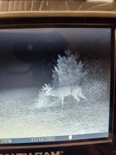 Tiny photo for N5449 County M Road, Brandon, WI 53919 (MLS # 2009043)